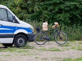 Stromnetz-Sabotage: Haftbefehl soll verkündet werden Der 48-jährige Tatverdächtige wurde festgenommen. (Archivbild)
