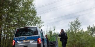 Angriffe aufs Stromnetz: Einsatz in Sachsen geht weiter Polizeikräfte stehen in einem Waldstück unter einer Stromtrasse nahe dem Ort Schleife im Landkreis Görlitz.