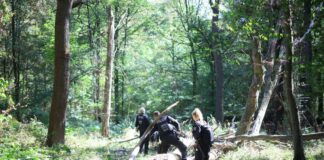 Strom-Sabotage: Polizei sucht im Hambacher Forst nach Täter Die Polizei sucht mitten im Wald nach dem Verdächtigen.