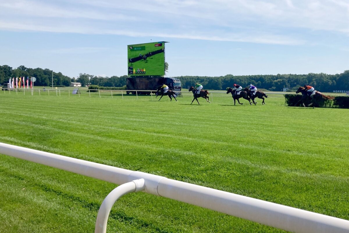 Galopprennbahn Hoppegarten Pferderennen in Hoppegarten. (Archivbild)