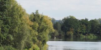 Motorboot stößt mit Güterschiff zusammen und kentert Das Motorboot war den Angaben nach ein Mietboot, das ohne Führerschein gefahren werden kann. (Symbolbild)