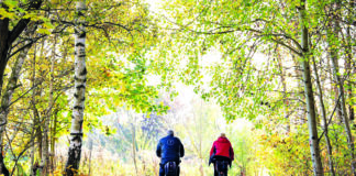 Berliner Erkundung: Geschichte auf Rädern erfahren Auf dem Mauerweg gibt es viel Geschichte und Natur zu entdecken. Bild: Emmanuele Contini
