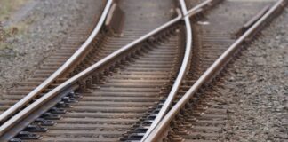 Bahnstrecken bei Cottbus wegen Unwetterschäden gesperrt Mehrere Bahnstrecken in der Lausitz mussten wegen umgekippter Bäume gesperrt werden (Symbolbild)