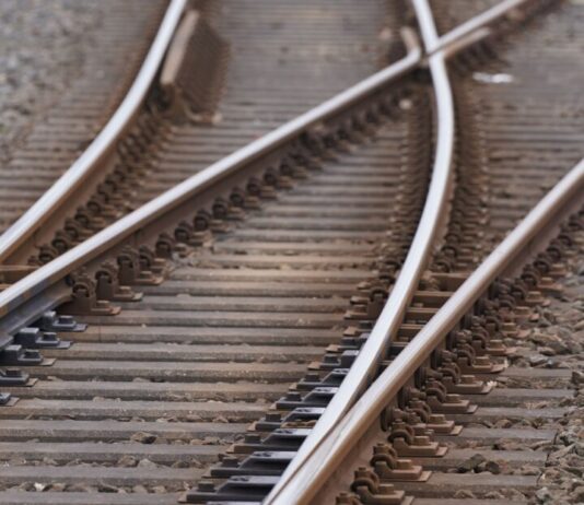 Bahnstrecken bei Cottbus wegen Unwetterschäden gesperrt Mehrere Bahnstrecken in der Lausitz mussten wegen umgekippter Bäume gesperrt werden (Symbolbild)