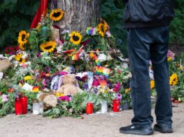 Nach Terror-Einsatz: Kleinkarten soll neue Pächter bekommen Ein Spandauer Kleingarten diente als Versteck für einen Verdächtigen. (Archivbild)