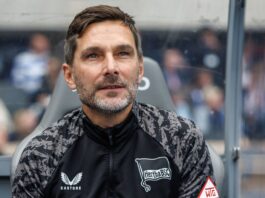 Hertha gewinnt Testspiel gegen Zehlendorf mit 3:1 Trainer Stefan Leitl und Hertha BSC sind in dieser Zweitliga-Saison noch ungeschlagen. (Archivbild)