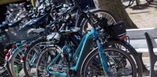 E-Bikes sind in Brandenburg seltener zu sehen als in Niedersachsen, NRW und Bayern – jedoch deutlich häufiger als in Berlin. (Symbolbild)