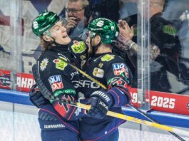 Eisbären Berlin gewinnen in der CHL mit 2:1 gegen Herning Angreifer Eric Hördler (l.) erzielte beim Sieg der Eisbären Berlin gegen Herning Blue Fox in der CHL das 2:0. (Archivbild)