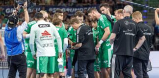 Für eine Saison: Füchse verpflichten Rückraumspieler Zaepfel Die Füchse erhalten Verstärkung für den Rückraum. (Archivbild)