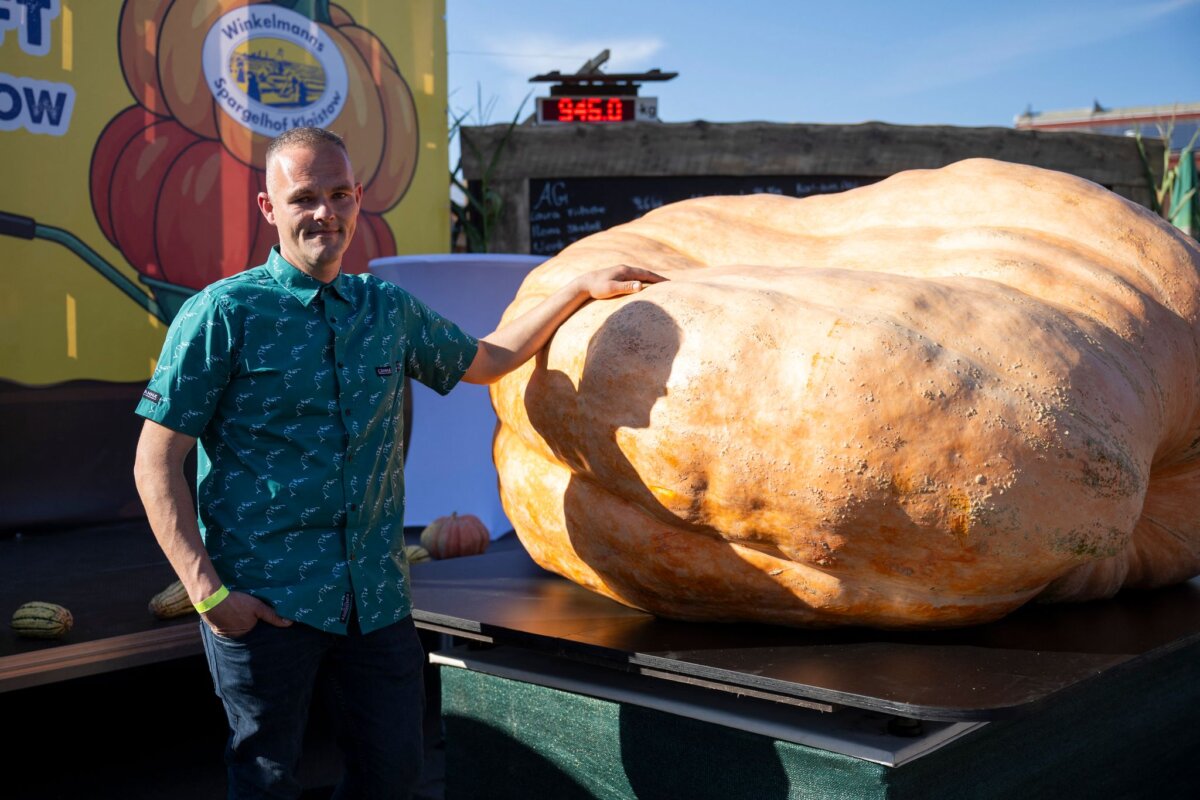 Große Kürbiswiegemeisterschaft in Klaistow Der schwerste Kürbis bei der Kürbiswiegemeisterschaft in Klaistow von Oliver Grafe ist rund 942 Kilogramm schwer.
