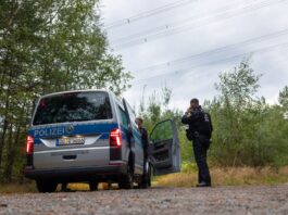 21 Sprengsätze an Stromleitungen entdeckt und entschärft Polizeikräfte stehen in einem Waldstück unter einer Stromtrasse nahe dem Ort Schleife im Landkreis Görlitz.