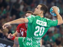 Füchse Berlin starten mit Kantersieg in die Club-WM Nationalspieler Tim Freihöfer erzielte acht Tore für die Füchse gegen Burgan (Archivbild)