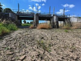 Forscher: Wasserdefizit in Deutschland verschlimmert sich Die Wasserreserven in Deutschland werden geringer. (Archivbild)