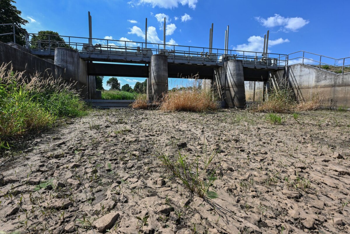 Teilabschnitt der Schwarzen Elster ausgetrocknet Die Wasserreserven in Deutschland werden geringer. (Archivbild)
