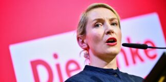 Linke-Bundesvorsitzende Ines Schwerdtner erwartet deutlichen Widerstand gegen die Pläne zur Vergesellschaftung von Wohnungsunternehmen.