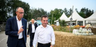 Brandenburgs CDU-Fraktionsvize hat die Nase voll Brandenburgs stellvertretender CDU-Fraktionschef Frank Bommert hat einen Brandbrief an Parteichef und Kanzler Friedrich Merz geschrieben. (Archivbild)