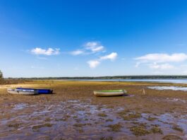 Spree droht Wassermangel – NABU fordert natürliche Lösungen Auch die Spree hatte in diesem Sommer mit Niedrigwasser zu kämpfen - das war nicht zuletzt in der Talsperre Spremberg zu spüren.