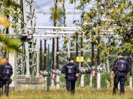 Nach Angriffen auf Stromnetz – Suche nach Tätern und Motiv Unbekannte positionierten in Brandenburg mehr als ein Dutzend Geschosse unter Stromleitungen.