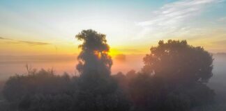 Dichter Nebel beeinträchtigt Sicht in Berlin und Brandenburg Nebelschwaden hängen am Morgen über einem Feld in Brandenburg. (Archivbild)