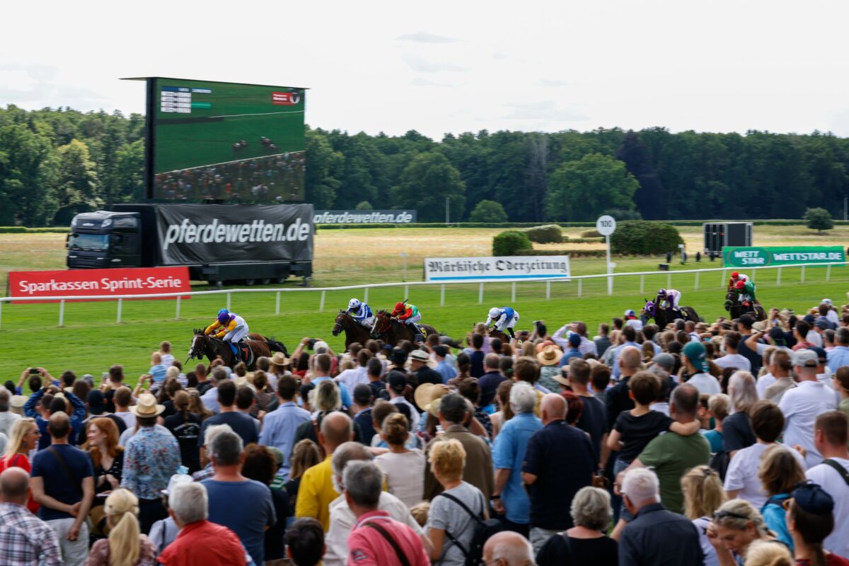 Rennen in Hoppegarten Mit dem Preis der deutschen Einheit endet die Saison in Hoppegarten. (Archivbild)