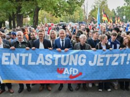 AfD demonstriert mit Höcke an der Spitze am Tag der Einheit AfD-Politiker und ihre Anhänger demonstrieren mit Thüringens Landesvorsitzendem Björn Höcke an der Spitze in Fürstenwalde.