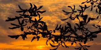 Warme Herbsttage bis zum Ende der Woche erwartet Die warmen Herbsttage sind noch nicht vorbei.