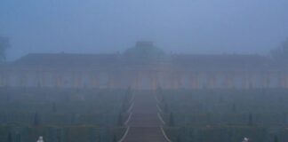 Morgendlicher Nebel und Sonne in Berlin und Brandenburg In den Morgenstunden zieht der Nebel in den kommenden Tagen jeweils wieder ab. (Archivbild)