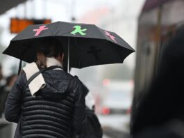 Regen und grauer Himmel in Berlin und Brandenburg erwartet Am Samstag sollte ein Schirm mitgenommen werden. (Archivbild)
