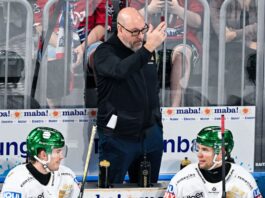 Eisbären Berlin gewinnen mit 2:0 in Frankfurt Cheftrainer Éric Dubois feierte mit den Eisbären Berlin den dritten Sieg in Folge. (Archivbild)