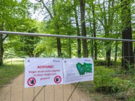Fast alle Wege im Branitzer Innenpark wieder geöffnet Schilder an einem Zaun weisen auf gesperrte Wege hin. (Archivbild)
