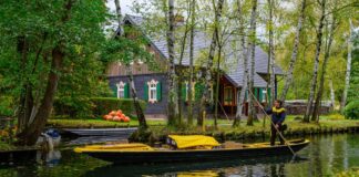 Seit 15 Jahren ist Andrea Bunar auf dem Postkahn im Spreewald unterwegs. (Archivbild)