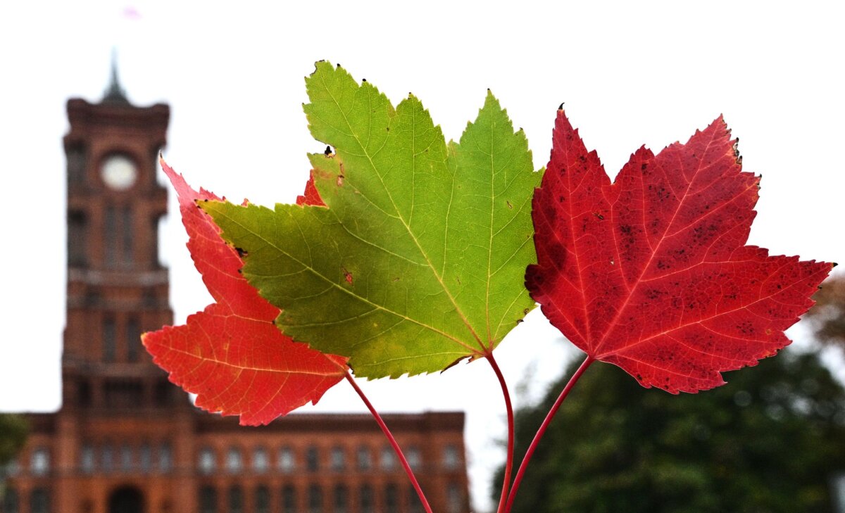 Bunte Herbstblätter vor dem Berliner Rathaus Die Linke will nach der Berlin-Wahl eine rot-grün-rote Koalition schmieden und das Rote Rathaus übernehmen. (Symbolbild)
