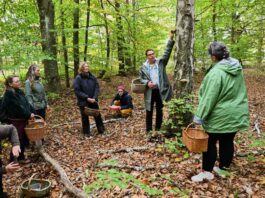 Pilzkurs in Templin: Wenn Bildungsurlaub in den Wald führt Bei den Pilzkursen geht es für die Teilnehmer selbstverständlich auch in den Wald.