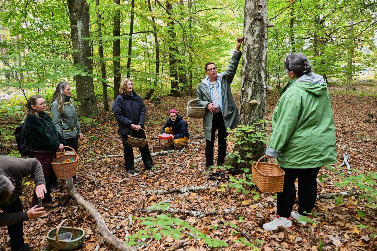 Pilzkurs "Einstieg in die Pilzkunde" als Bildungsurlaub Bei den Pilzkursen geht es für die Teilnehmer selbstverständlich auch in den Wald.