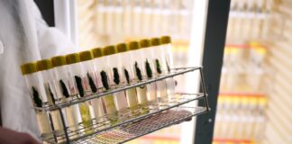 Wissenschaftssenatorin gratuliert Berliner Nobelpreisträger Hegemann forscht an der Humboldt-Universität Berlin.