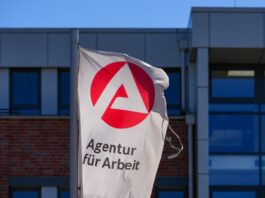 Kaum Bewegung auf dem Arbeitsmarkt in Brandenburg Auf dem Arbeitsmarkt in Brandenburg gab es im Oktober nur wenig Bewegung. (Archivbild)
