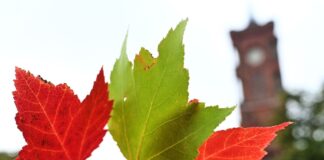 Umfrage: Mehrheit lehnt rot-grün-rote Koalition in Berlin ab Derzeit verhandeln Linke, Grüne und SPD über eine gemeinsame Regierung (Archivbild).