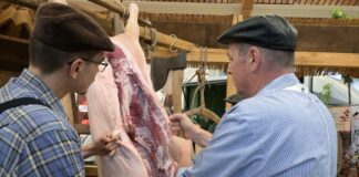 70 regionale Erzeuger stellen beim Schlachtefest aus Gezeigt wird auch, wie eine traditionelle Hausschlachtung abläuft.