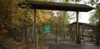 Die Polizei untersucht, wie es zu dem Angriff eines Wolf im Wildpark Johannismühle kommen konnte.  