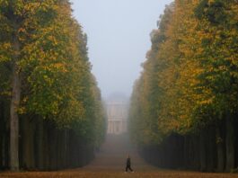 Bevor der Regen kommt: Sonne in Berlin und Brandenburg Am Morgen liegt noch Nebel über Berlin und Brandenburg. (Archivbild)