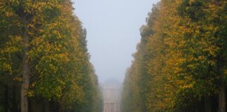 Bevor der Regen kommt: Sonne in Berlin und Brandenburg Am Morgen liegt noch Nebel über Berlin und Brandenburg. (Archivbild)