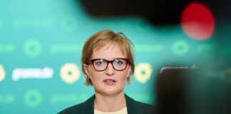 Grünen-Vorsitzende: personelle Konsequenzen bei Linken Die Grünen-Bundesvorsitzende Franziska Brantner verlangt von den Linken in Berlin bei der Antisemistismus-Debatte mehr Maßnahmen. (Archiv)