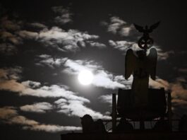 Neblig und bis zu 13 Grad in Berlin und Brandenburg In den Nächten soll es wolkig werden und Nebel aufziehen - die Tiefstwerte sinken in Brandenburg und Berlin auf 7 bis 3 Grad. (Archivbild)