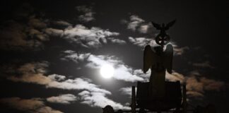 Neblig und bis zu 13 Grad in Berlin und Brandenburg In den Nächten soll es wolkig werden und Nebel aufziehen - die Tiefstwerte sinken in Brandenburg und Berlin auf 7 bis 3 Grad. (Archivbild)