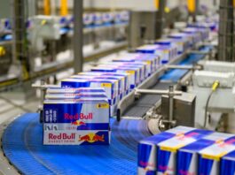 Red Bull-Werk: Gericht lehnt vorläufigen Stopp für Rodung ab In Baruth-Mark soll ein neues Dosenwerk für Red Bull entstehen, doch es gibt es seit langem Streit und juristische Auseinandersetzungen. (Archivbild)