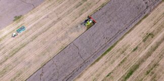 Ost-Agrarminister fordern Einsatz vom Bund für Großbetriebe Landwirtschaftsbetriebe mit großen Flächen sind in Ostdeutschland die Regel. (Archivbild)