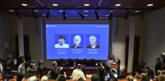 Medizin-Nobelpreis an zwei Deutsche und einen US-Forscher Der Nobelpreis für Medizin geht in diesem Jahr an die beiden Deutschen Peter Hegemann und Georg Nagel sowie den US-Forscher Karl Deisseroth.