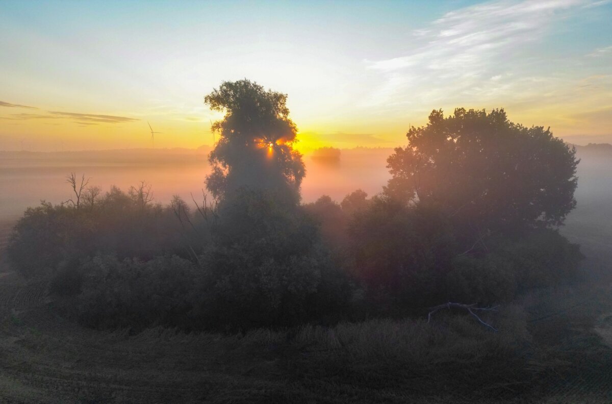 Morgenstimmung in Brandenburg In Berlin und Brandenburg wird es nachts nebelig und tagsüber sonnig bis leicht bewölkt. (Archivbild)